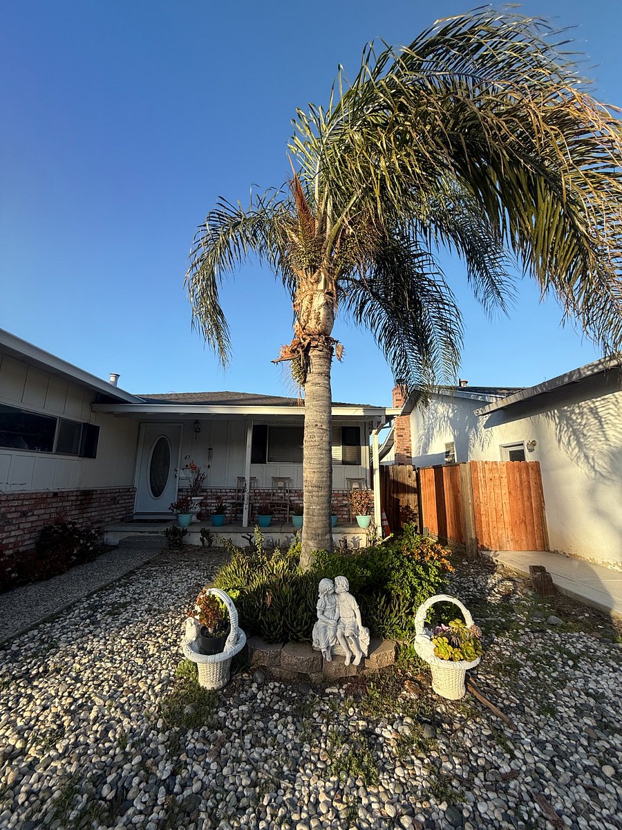 Furnished Finder property 820132_1 photo 18