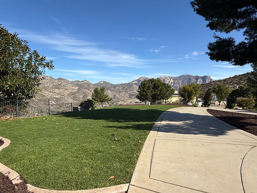 view from the entrance/exit of your room. 