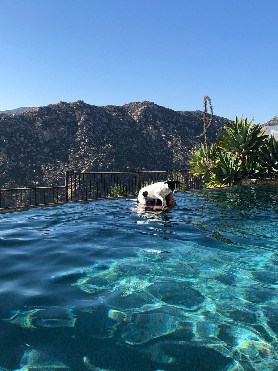 Summertime fun in our heated pool. 