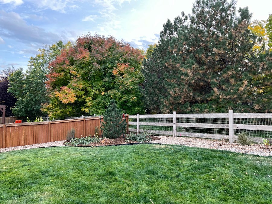 Furnished Finder property 820372_1 photo 29
