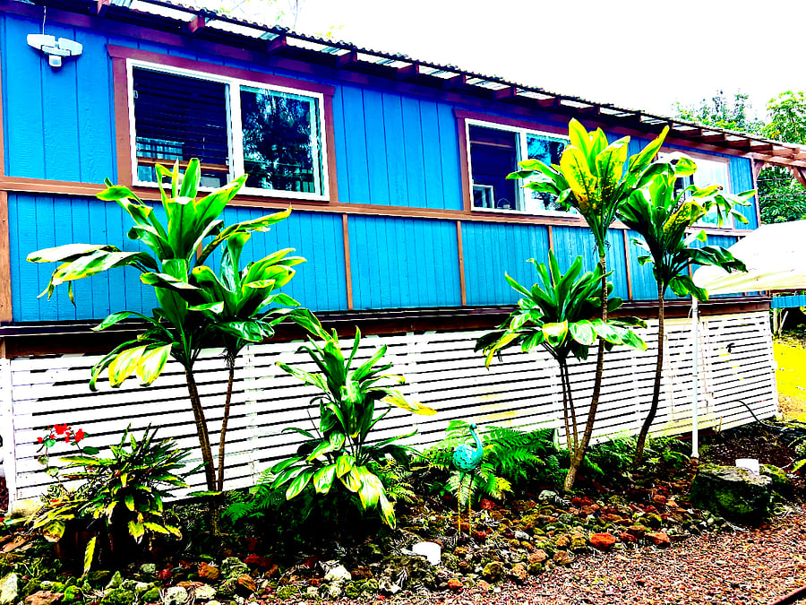 Plenty of room underneath the house that you can stand up under and store things there are three entrances to under the house for your boogie board, surf boards, tools, equipment, Christmas, decorations, etc.