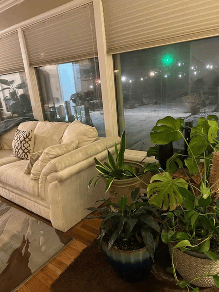 Furnished Finder property 820503_1 photo 6