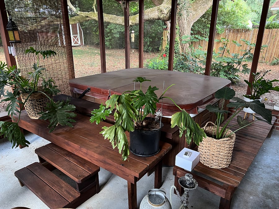 Furnished Finder property 820571_2 photo 6