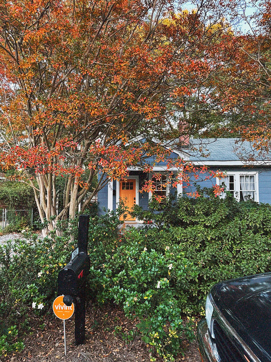 Furnished Finder property 820594_1 photo 3