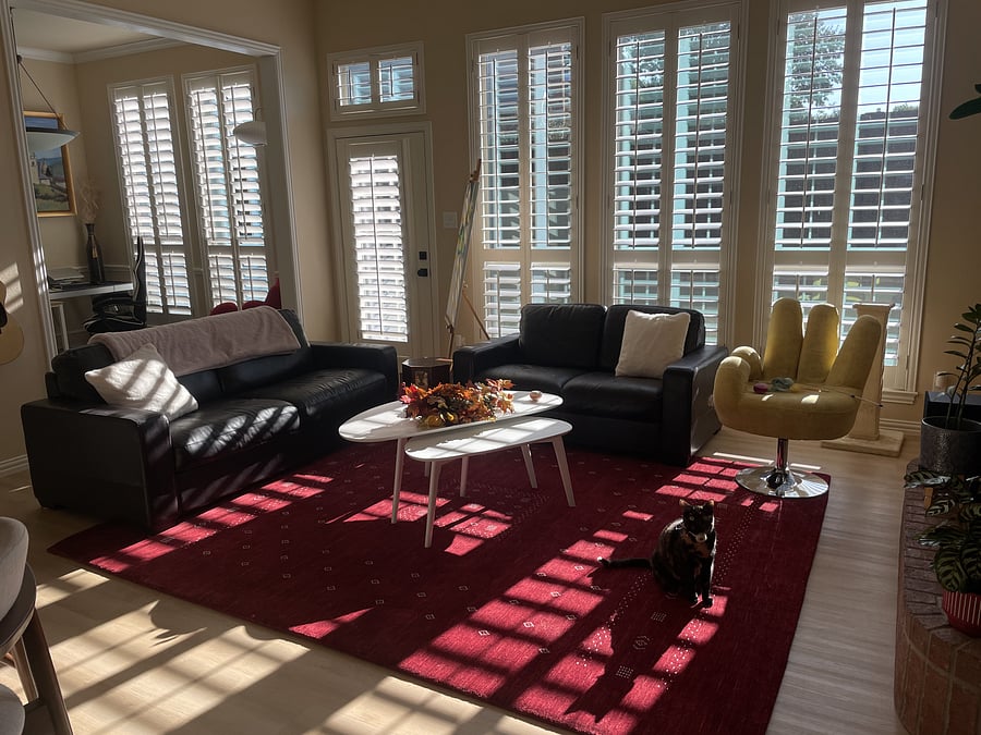 Furnished Finder property 820605_1 photo 7