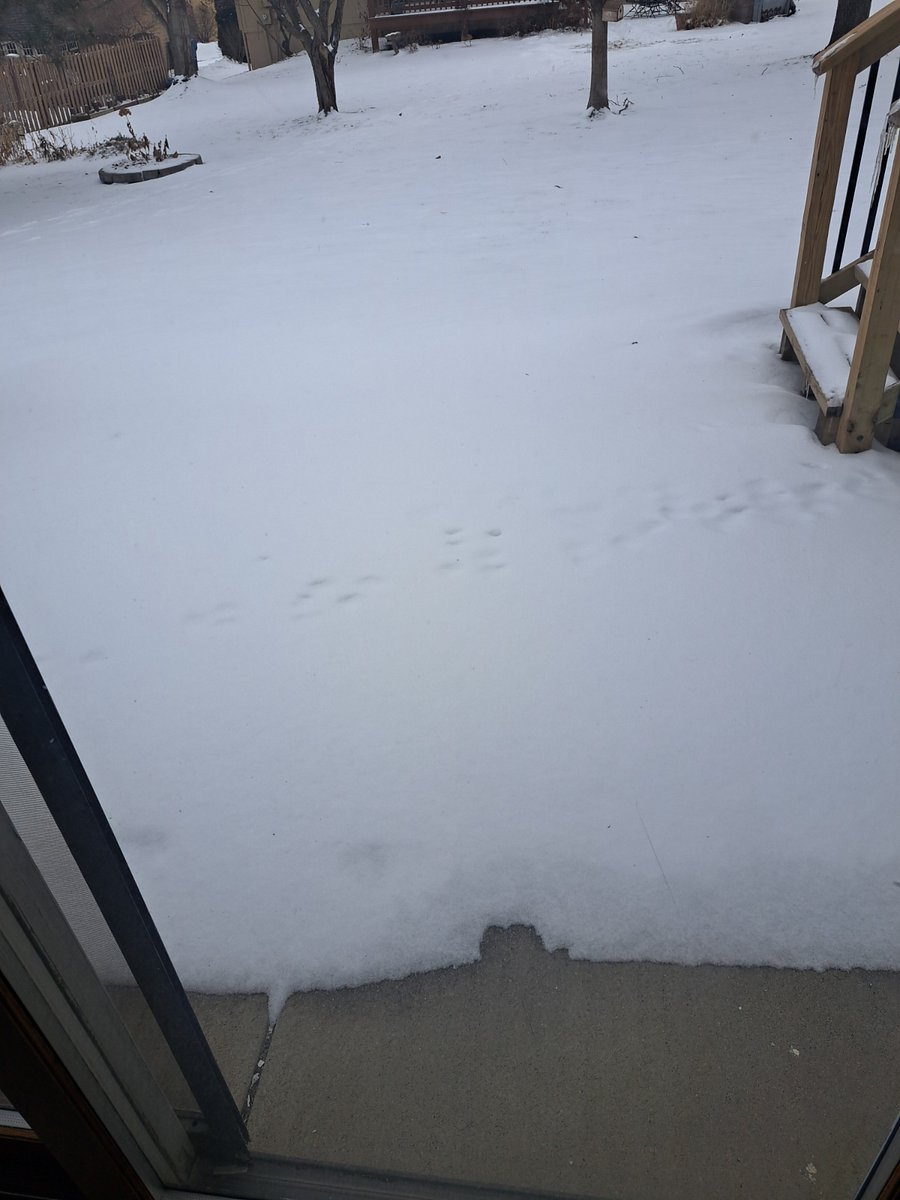 Snow covered patio