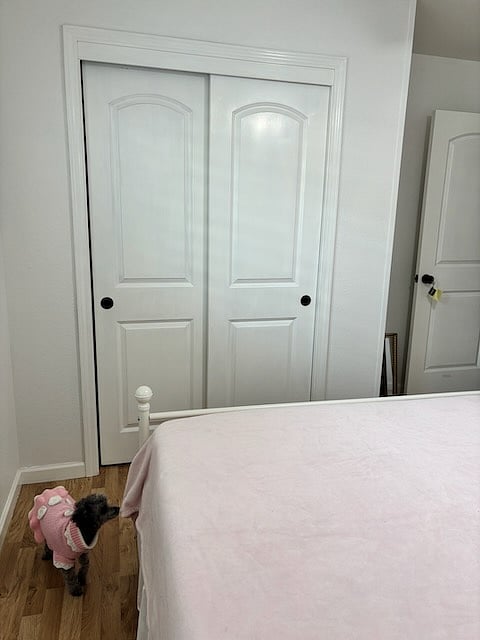 Furnished Finder property 820953_2 photo 5