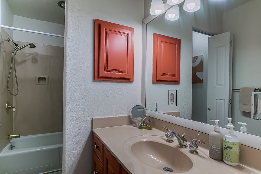 Bathroom has privacy door between vanity and bath/toilet area.