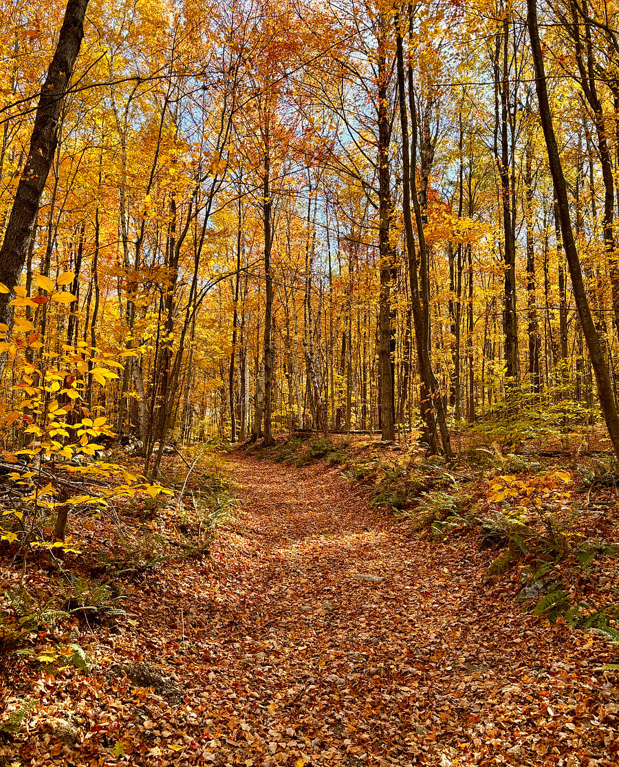 Nearby Scenic Hiking Trails in Every Season.