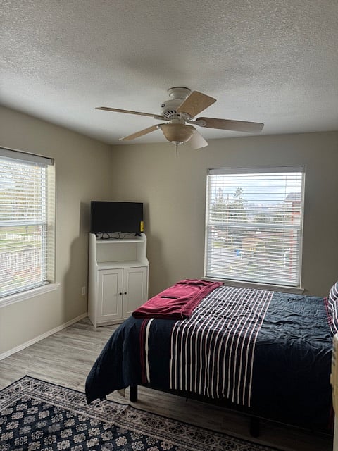 Furnished Finder property 821134_1 photo 12