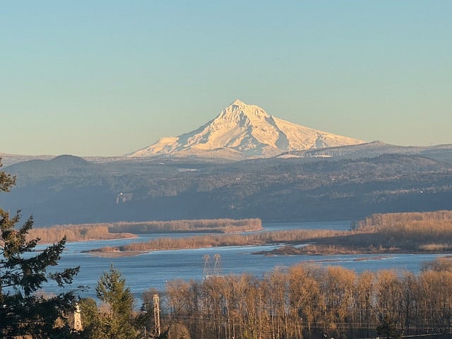 Furnished Finder property 821134_1 photo 19