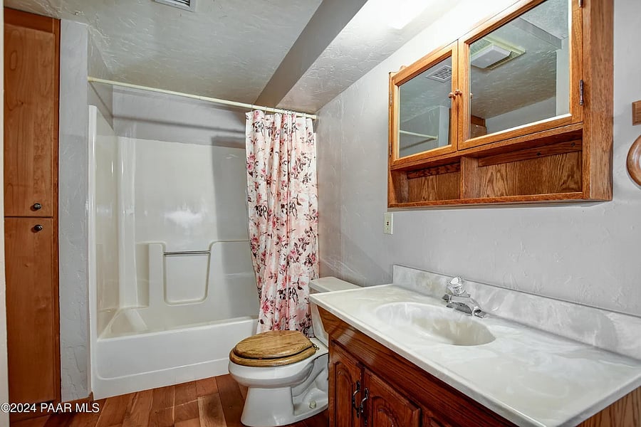 Lower Level Bathroom