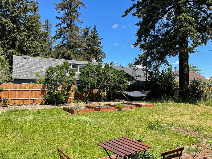 Fully fenced backyard with garden beds, hammock and seating available to share
