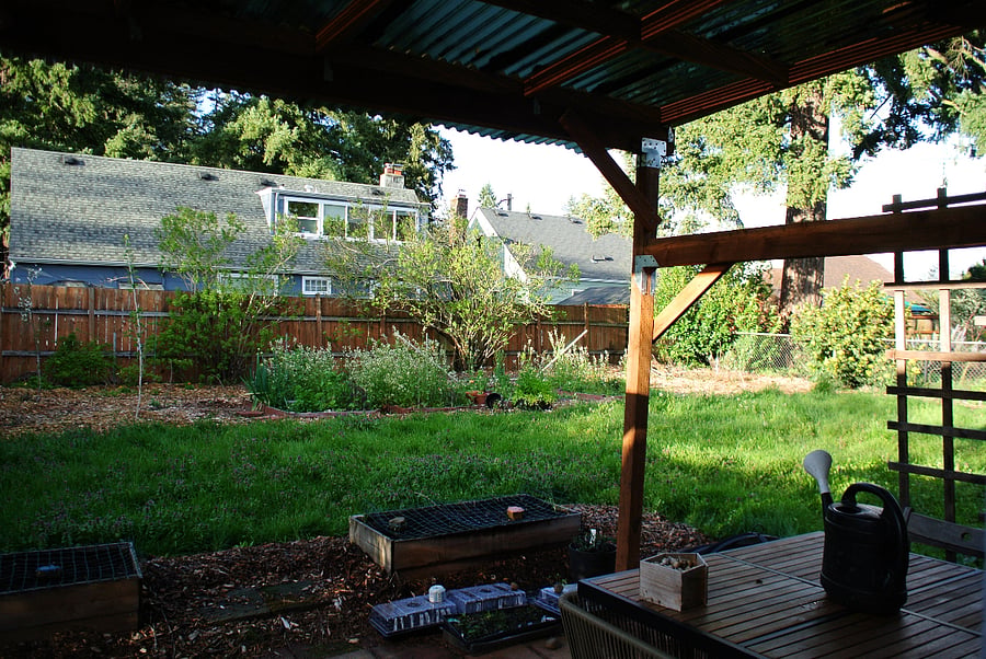 Updating the backyard - filling with fruit trees and a covered porch area