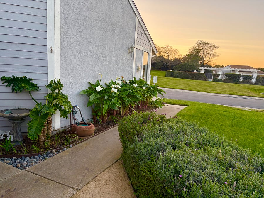 Furnished Finder property 821293_1 photo 4