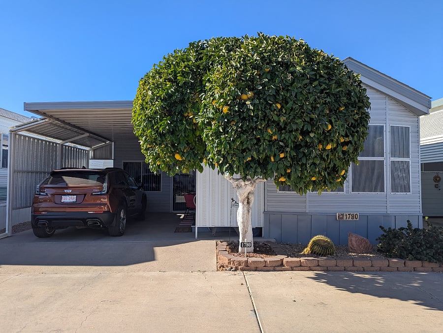 Furnished Finder property 821403_1 photo 10