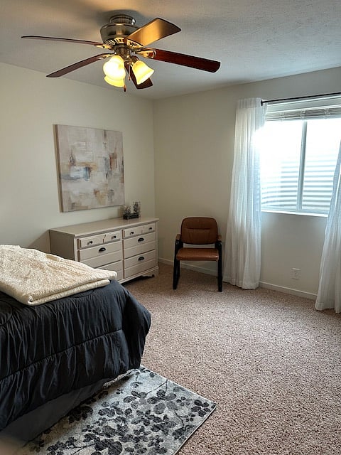Attractive, warm, welcoming, quiet bedroom, Can open shades for natural light or close for darkened space.