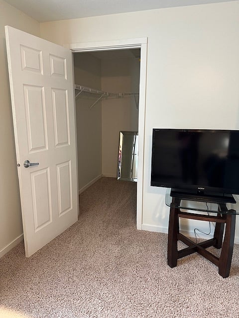 TV and walk-in closet with plenty of storage space.