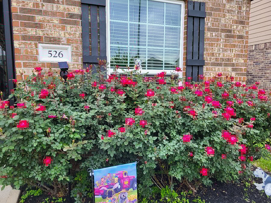 Furnished Finder property 821460_1 photo 6