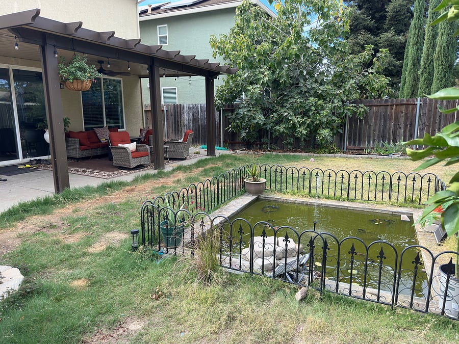 Patio and pond