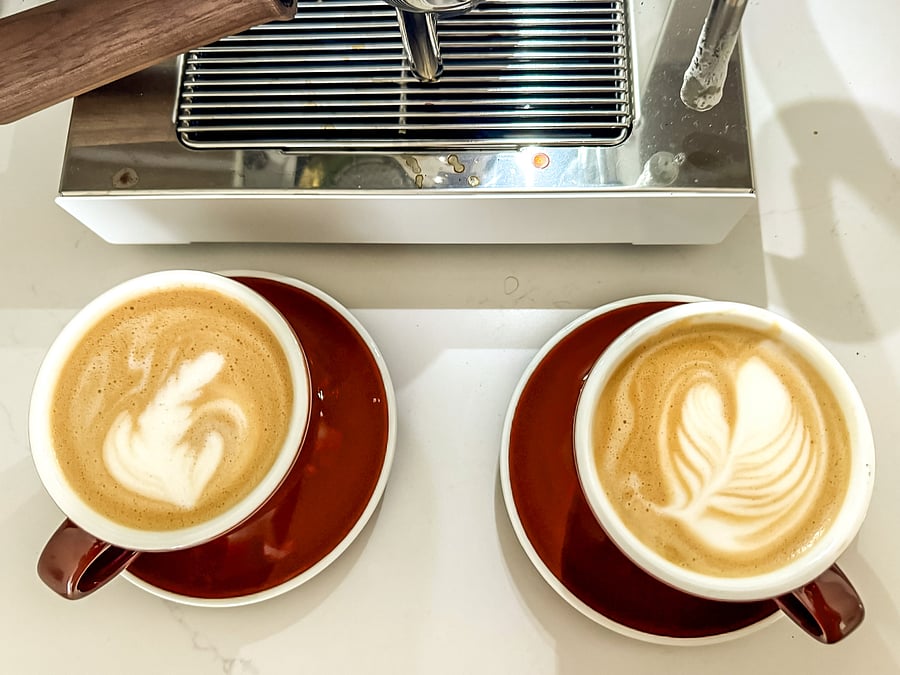 Portafilter Espresso Machine