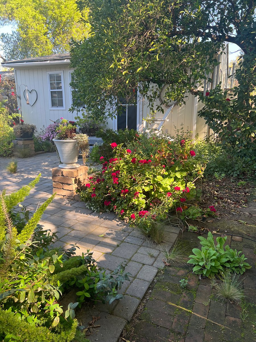 Furnished Finder property 821969_1 photo 17