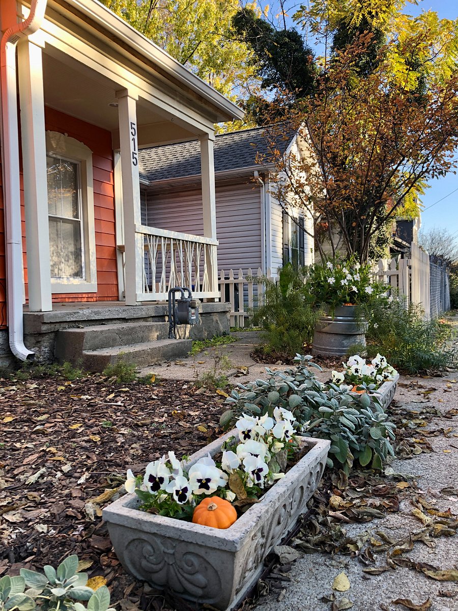 Landscaping with native plants and shrubs for year-round interest.