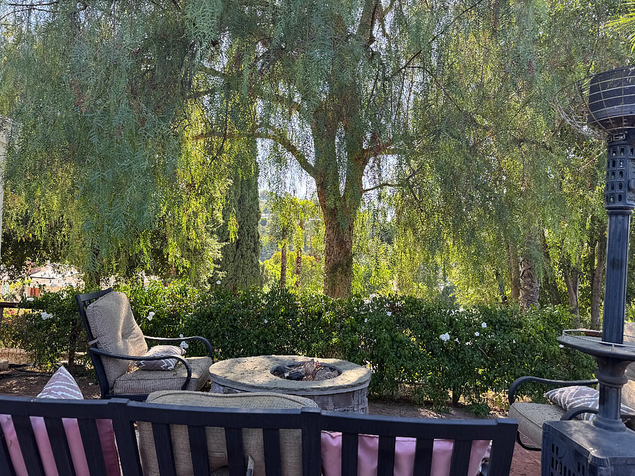 Furnished Finder property 822017_1 photo 35