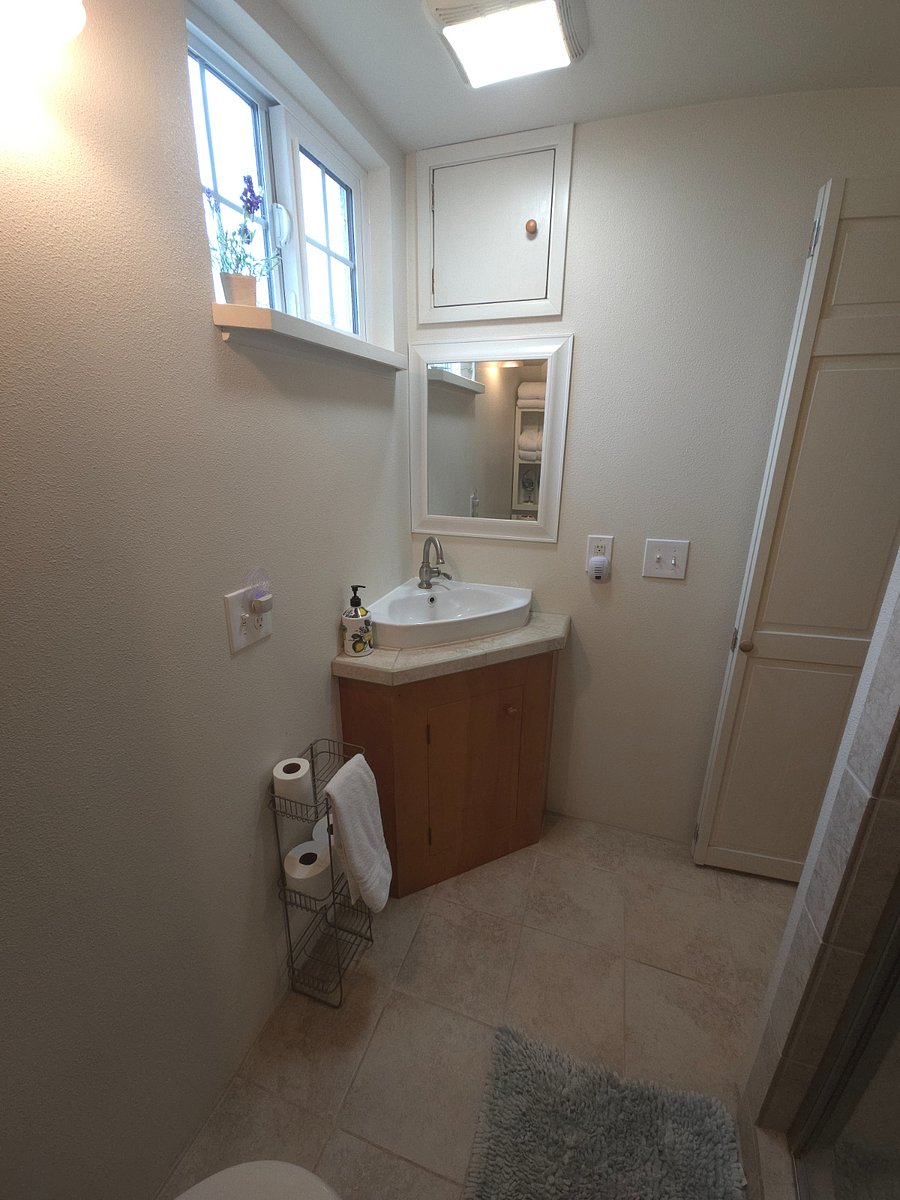 Corner sink, view of trees out window.