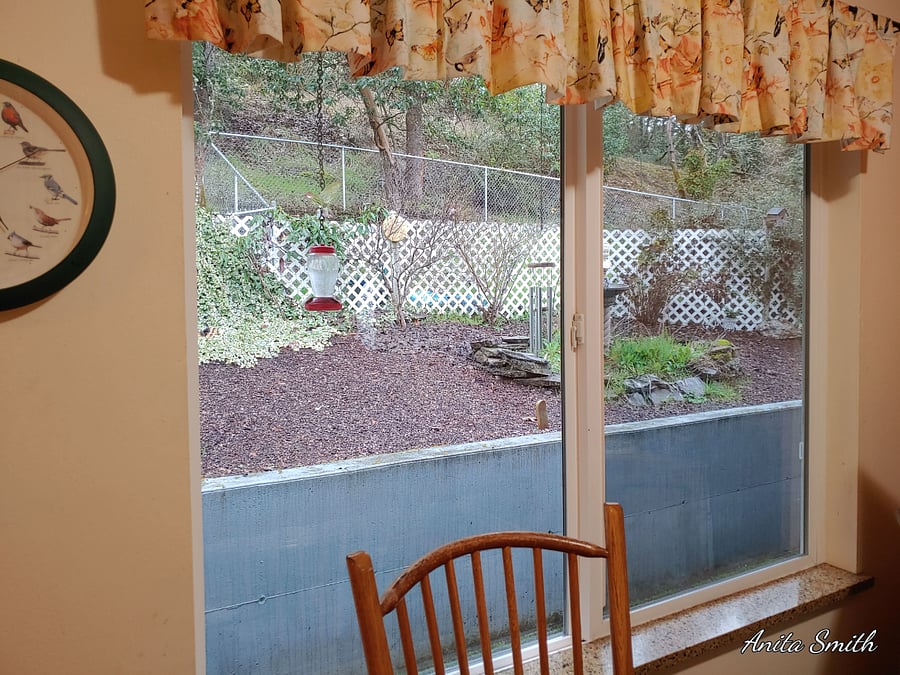 Furnished Finder property 822202_1 photo 3