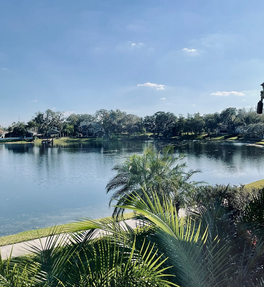 Furnished Finder property 822489_1 photo 17