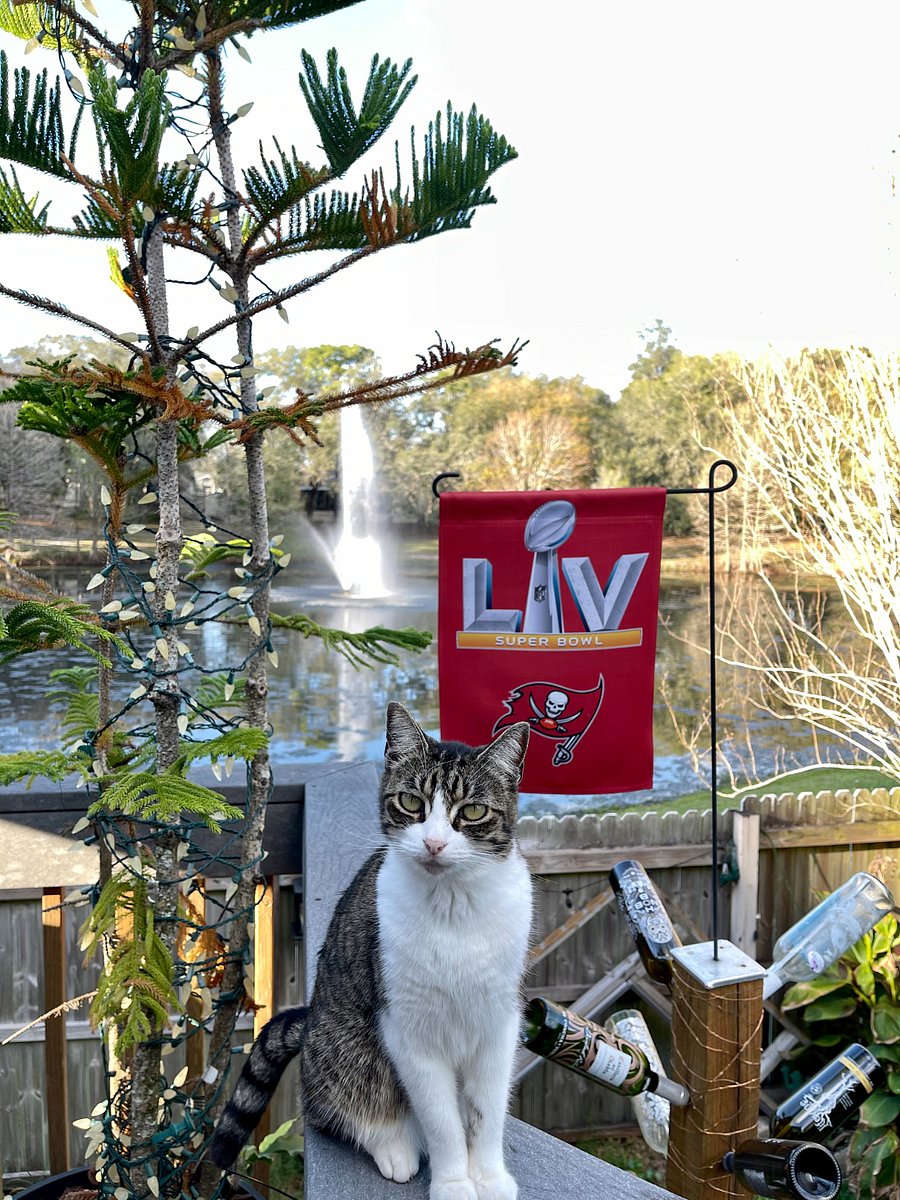 My back deck. I have a cat. Ms Coco shes 15 years old. I love the Bucs. 