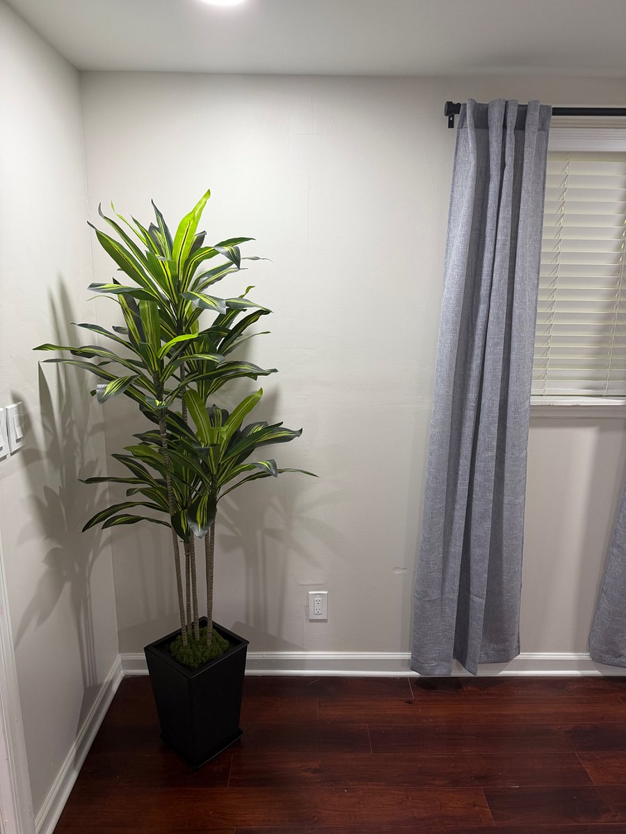 Furnished Finder property 822659_1 photo 13