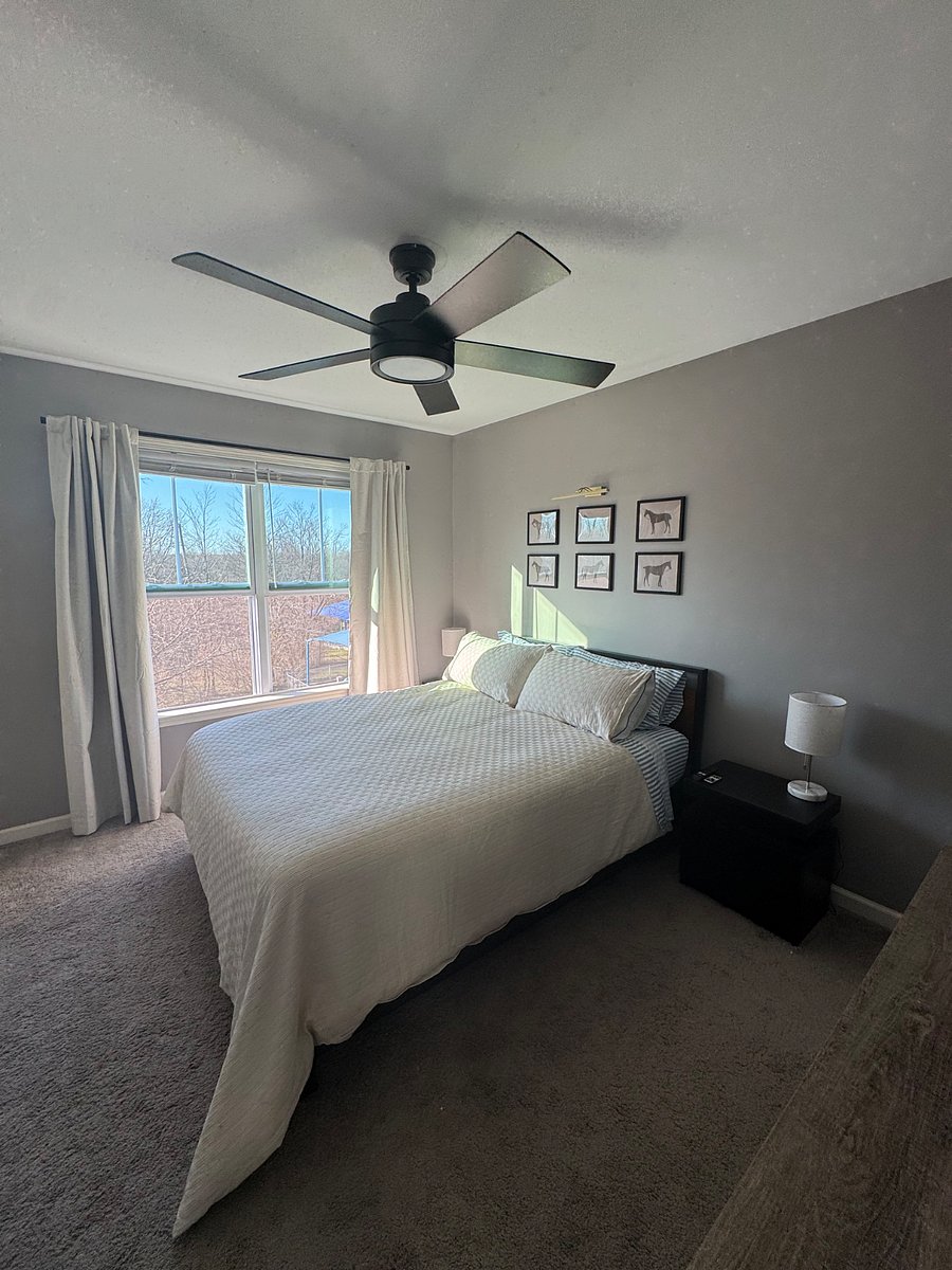 Furnished Finder property 822807_1 photo 10