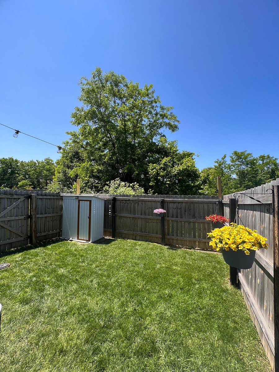 Furnished Finder property 822807_1 photo 18