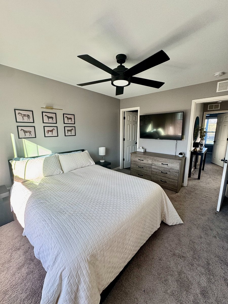 Furnished Finder property 822807_1 photo 9