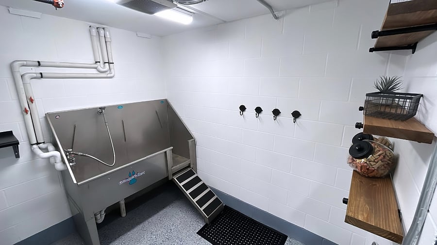 Pet Wash Station