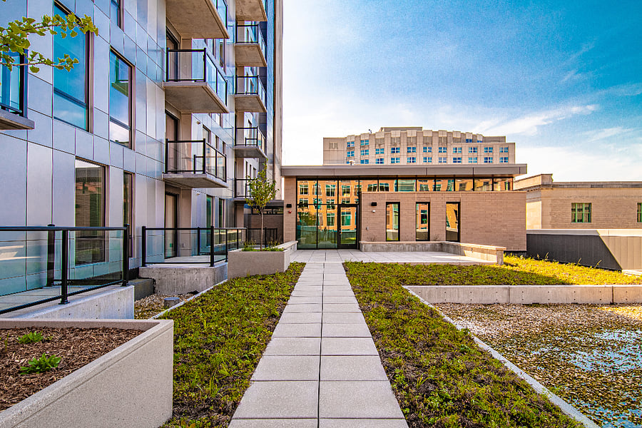 Yoga Terrace