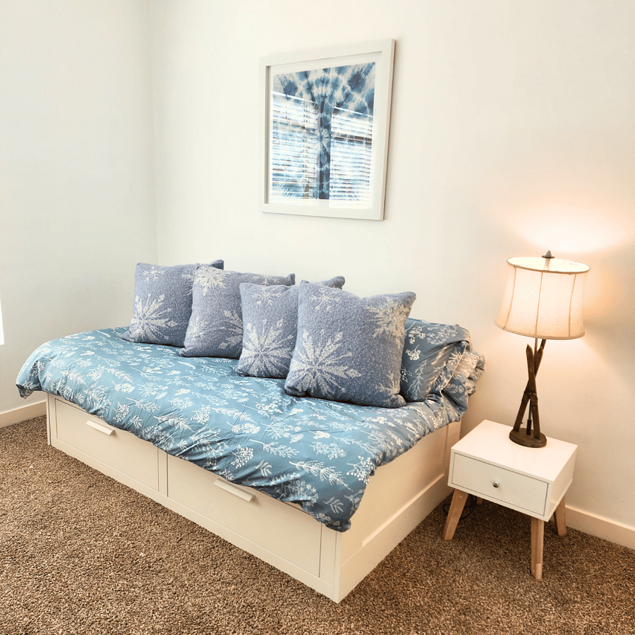 Guest Bedroom With Twin