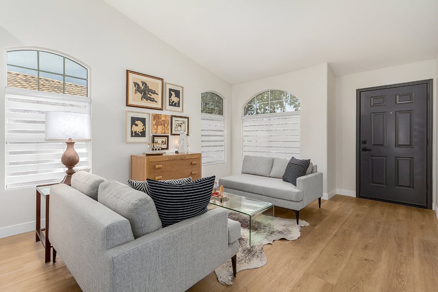 Modern Interior, Zebra Shades