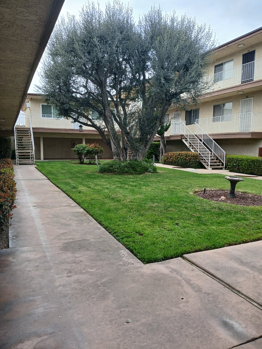 Furnished Finder property 823118_1 photo 7