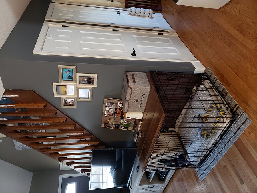 Furnished Finder property 823178_1 photo 17