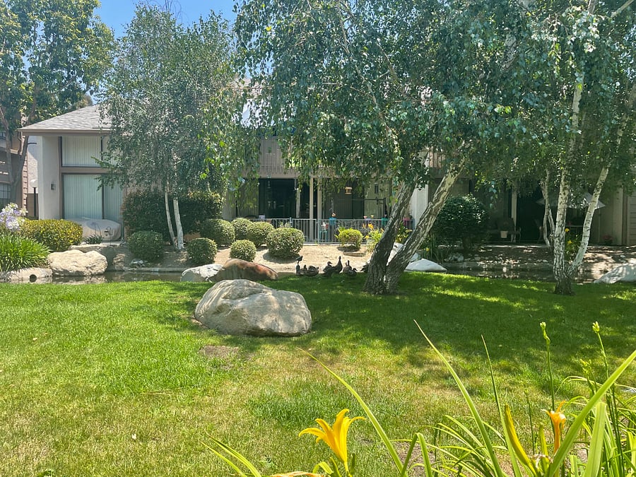 Furnished Finder property 823202_1 photo 5