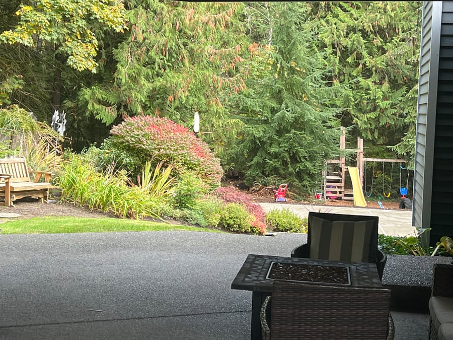 Peacefull backyard to share