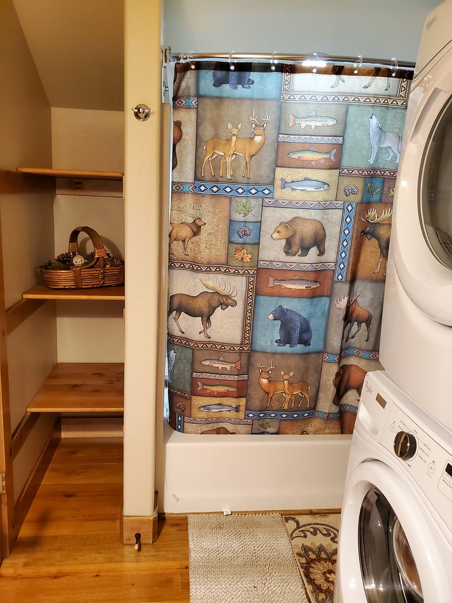 Shower/tub and laundry in bathroom