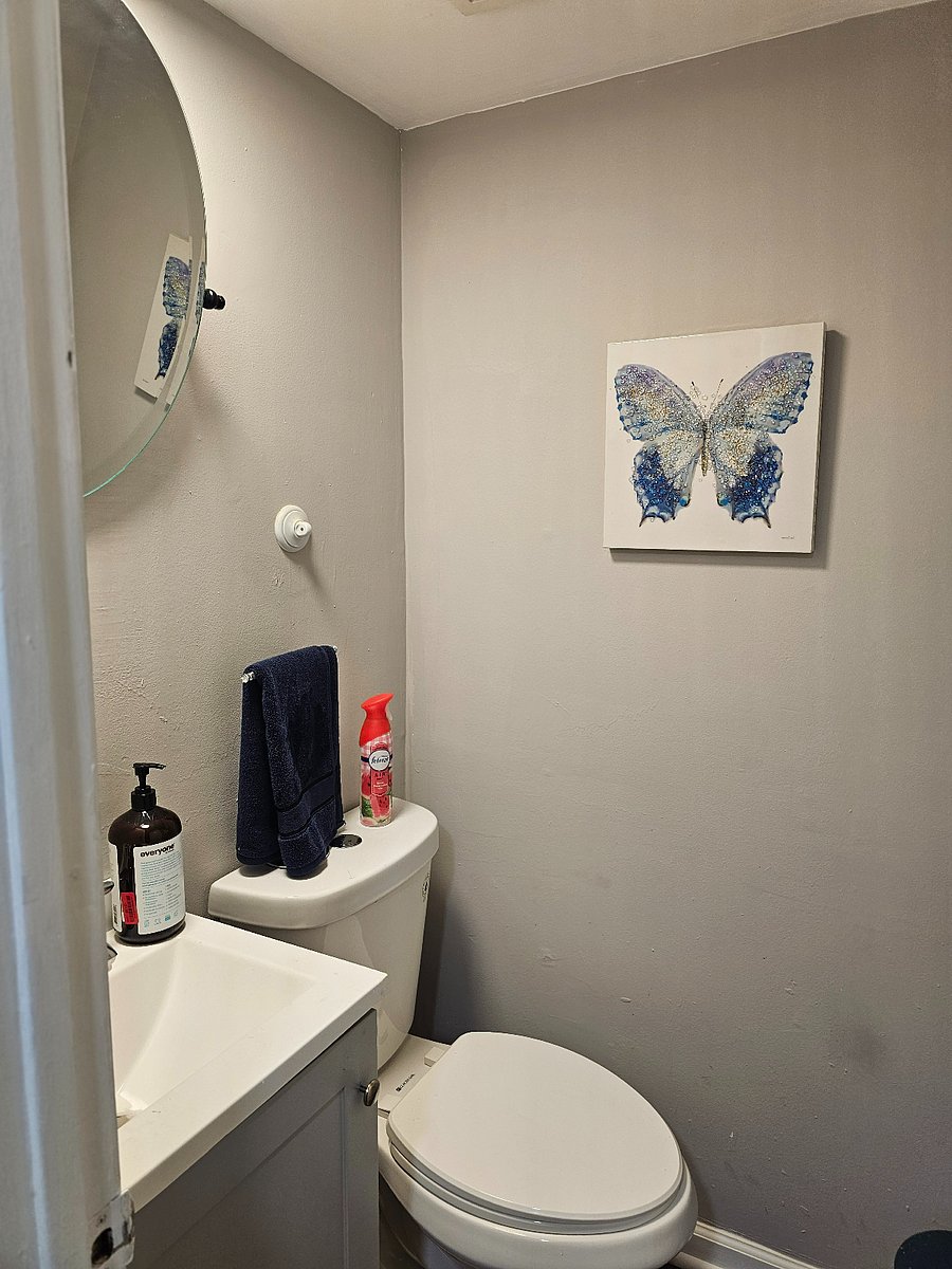 Downstairs Half Bathroom
