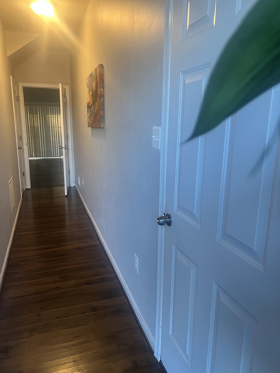 Furnished Finder property 823528_1 photo 13