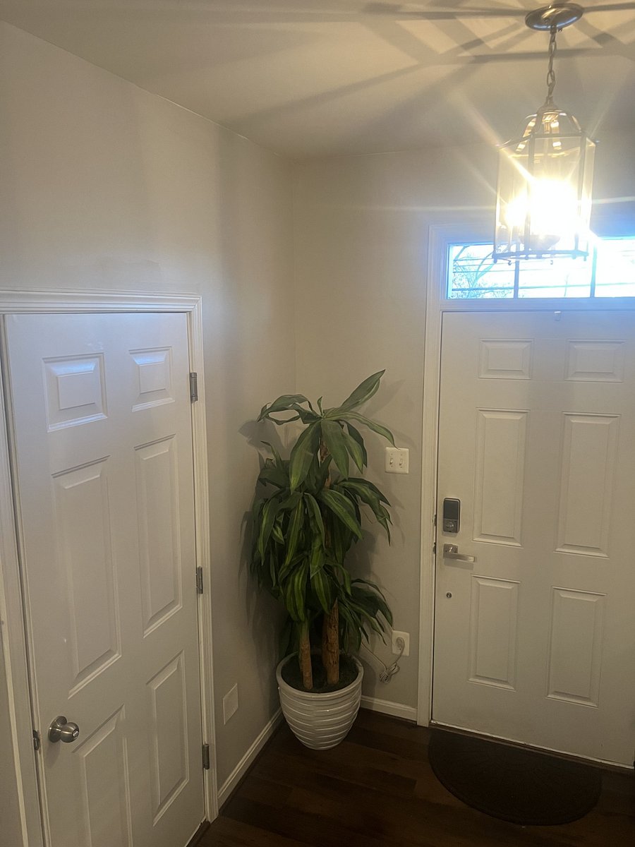 Furnished Finder property 823528_1 photo 15
