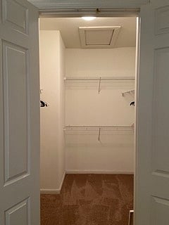 Large walk in closet