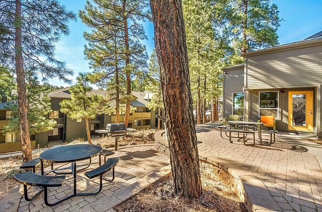 Outdoor BBQ/picnic area